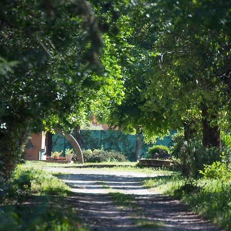 La Villa Delle Rose Рим Экстерьер фото